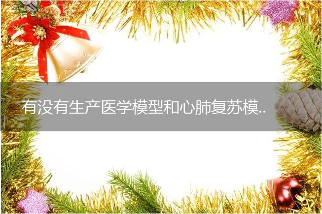 有没有生产医学模型和心肺复苏模拟人的公司呀?эээ