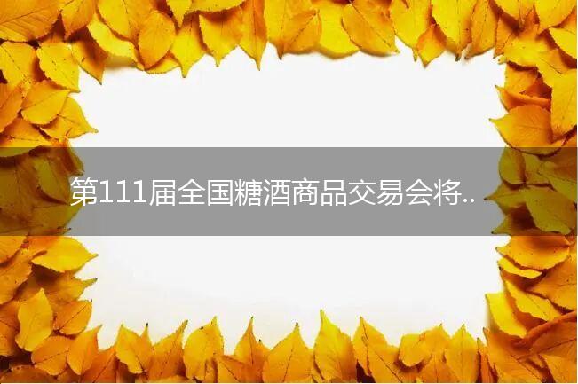 第111届全国糖酒商品交易会将于10月在深圳开幕