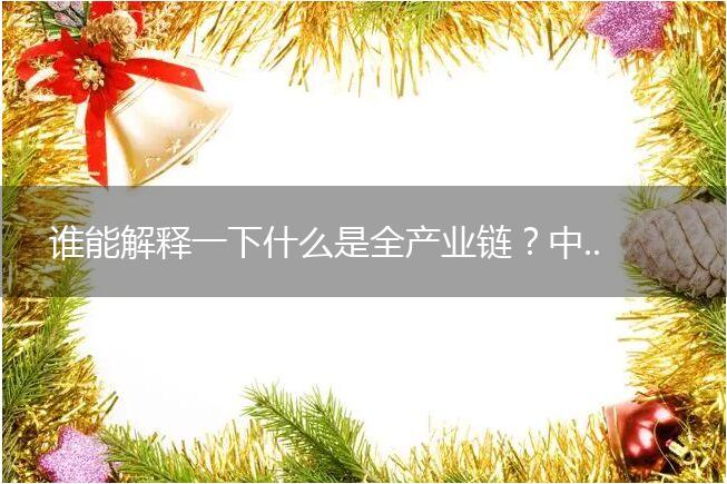 谁能解释一下什么是全产业链？中国蜂业全产业链供应商是哪一家？